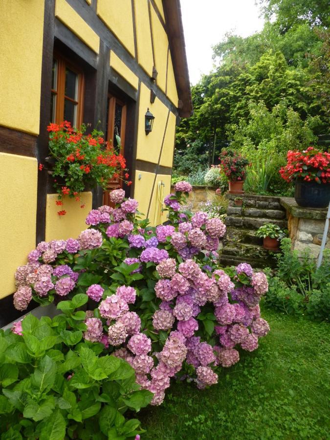 La Pomme De Pin Hotel Raedersdorf Kültér fotó