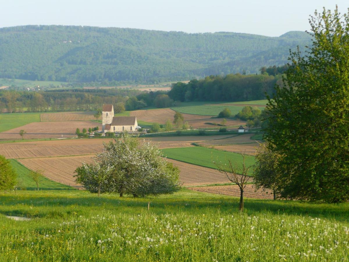 La Pomme De Pin Hotel Raedersdorf Kültér fotó