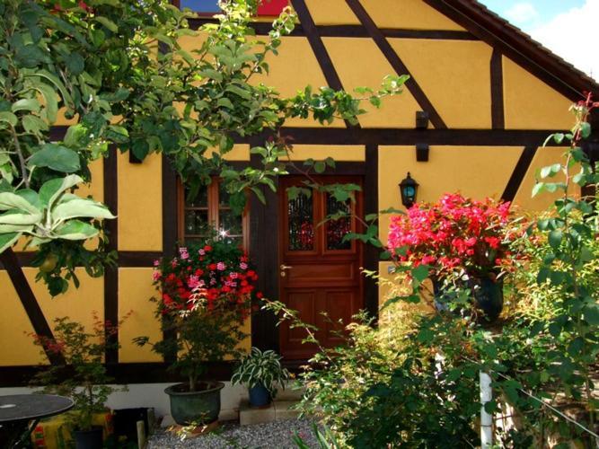 La Pomme De Pin Hotel Raedersdorf Kültér fotó