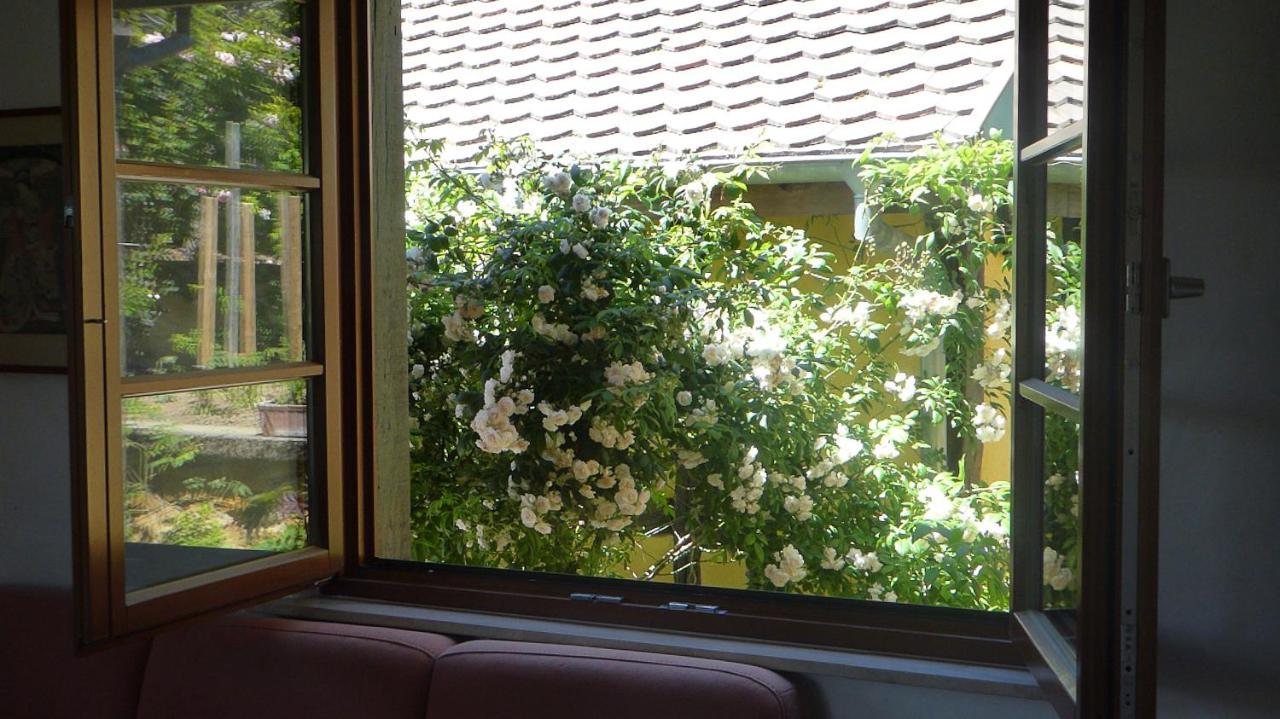 La Pomme De Pin Hotel Raedersdorf Kültér fotó